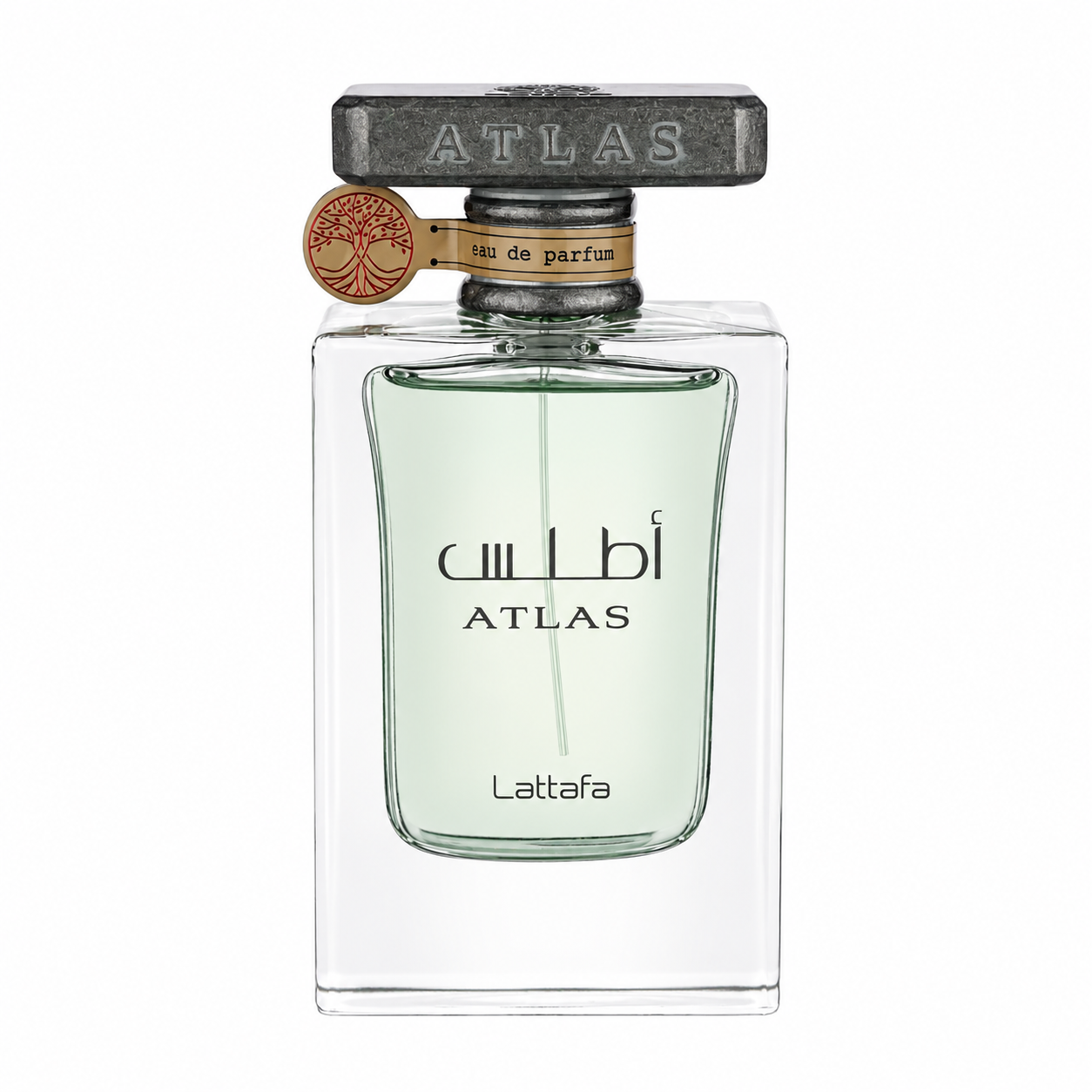 Atlas | Eau De Parfum | 55ml